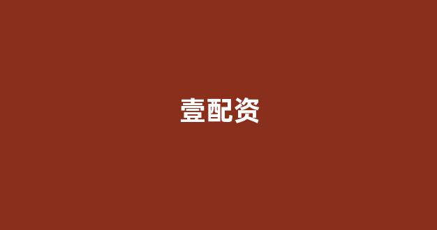 配资行业查询